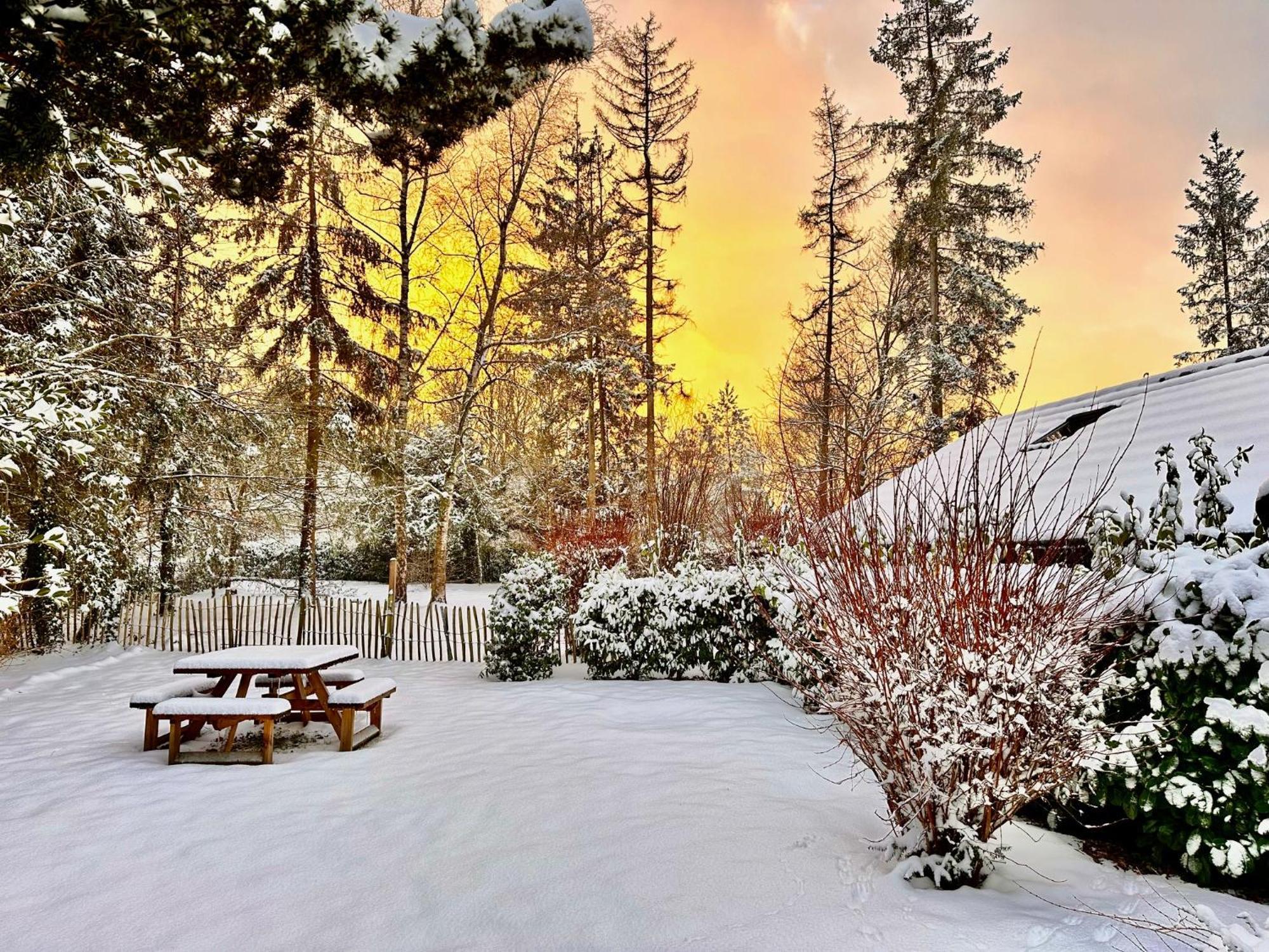 Chalet Four Seasons Durbuy Eksteriør billede